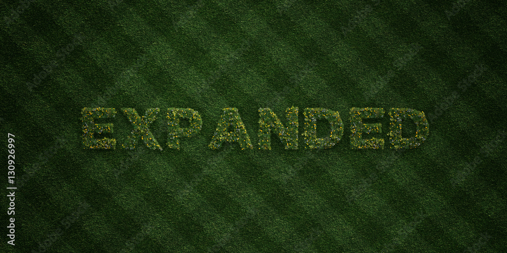 EXPANDED - fresh Grass letters with flowers and dandelions - 3D rendered royalty free stock image. Can be used for online banner ads and direct mailers.. EXPANDED - fresh Grass letters with flowers and dandelions - 3D rendered royalty free stock image. Can be used for online banner ads and direct mailers..
