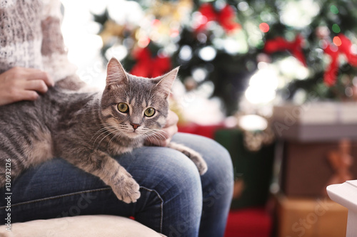 Obraz na plátně Woman sitting on sofa with grey tabby cat on her knees, close up view