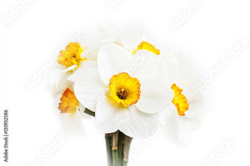 Bouquet of narcissus, floral wallpaper
