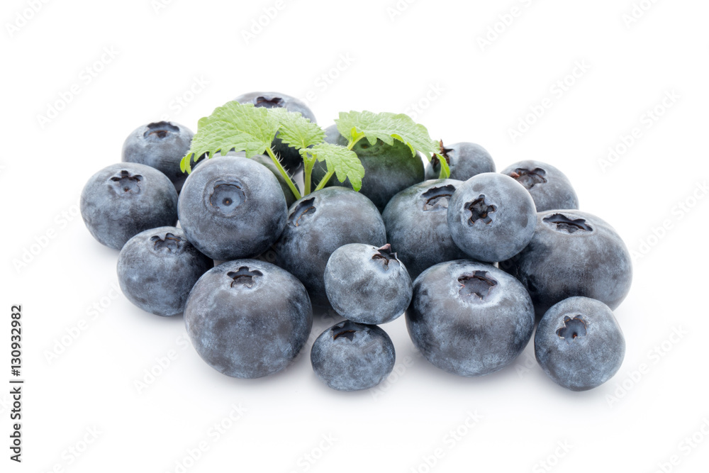 Close up of a blueberry branch isolated over white. Close up of a blueberry branch isolated over white.