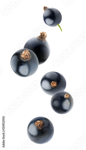 Isolated falling black currants