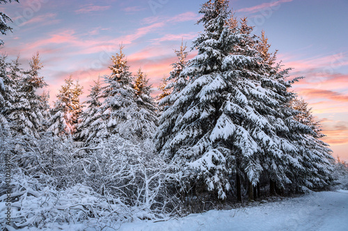 neige sur les forets en ardennes - belgique © caputolaurent