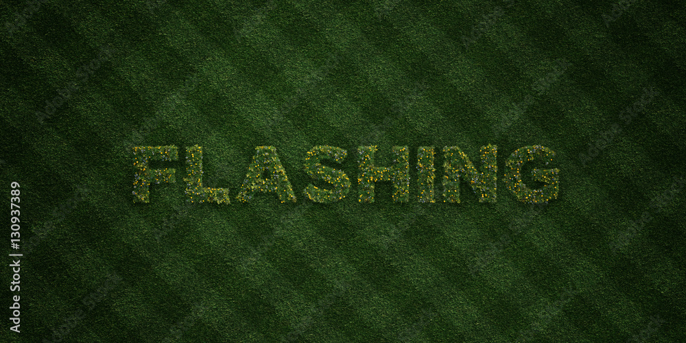 FLASHING - fresh Grass letters with flowers and dandelions - 3D rendered royalty free stock image. Can be used for online banner ads and direct mailers.. FLASHING - fresh Grass letters with flowers and dandelions - 3D rendered royalty free stock image. Can be used for online banner ads and direct mailers..