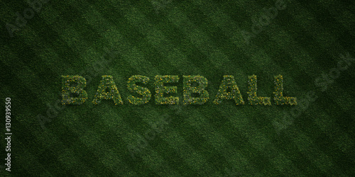 Canvas Print BASEBALL - fresh Grass letters with flowers and dandelions - 3D rendered royalty free stock image