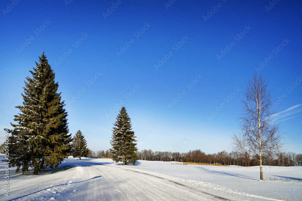 Fototapeta premium Beautiful winter landscape on sunny day