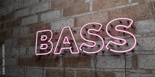 BASS - Glowing Neon Sign on stonework wall - 3D rendered royalty free stock illustration. Can be used for online banner ads and direct mailers..