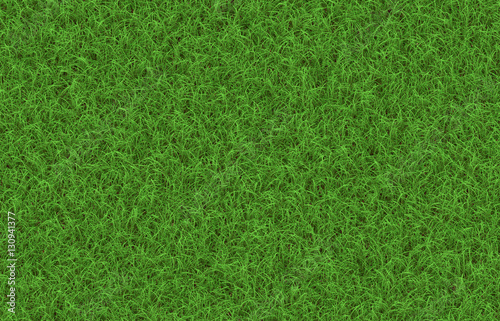 textur grüner rasen texture green lawn