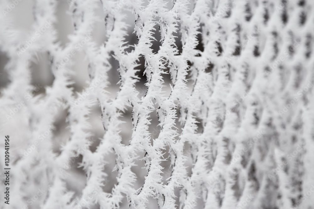 Fence covered with snow