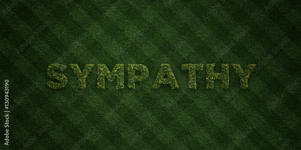 SYMPATHY - fresh Grass letters with flowers and dandelions - 3D rendered royalty free stock image. Can be used for online banner ads and direct mailers.. SYMPATHY - fresh Grass letters with flowers and dandelions - 3D rendered royalty free stock image. Can be used for online banner ads and direct mailers..