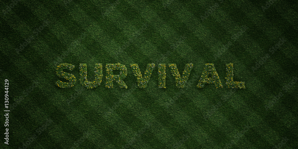SURVIVAL - fresh Grass letters with flowers and dandelions - 3D rendered royalty free stock image. Can be used for online banner ads and direct mailers.. SURVIVAL - fresh Grass letters with flowers and dandelions - 3D rendered royalty free stock image. Can be used for online banner ads and direct mailers..