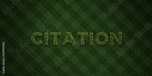 CITATION - fresh Grass letters with flowers and dandelions - 3D rendered royalty free stock image. Can be used for online banner ads and direct mailers..