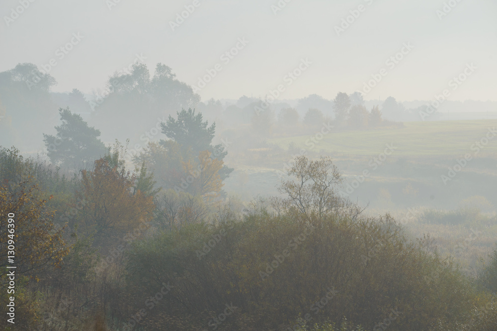 Fototapeta premium Beautiful foggy landscape