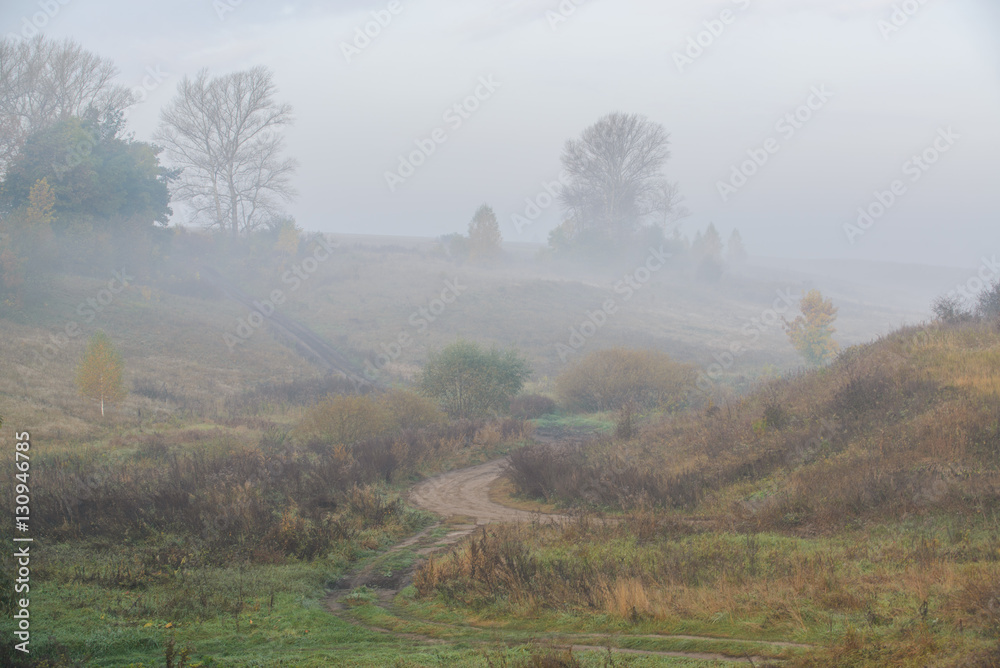 Beautiful foggy landscape