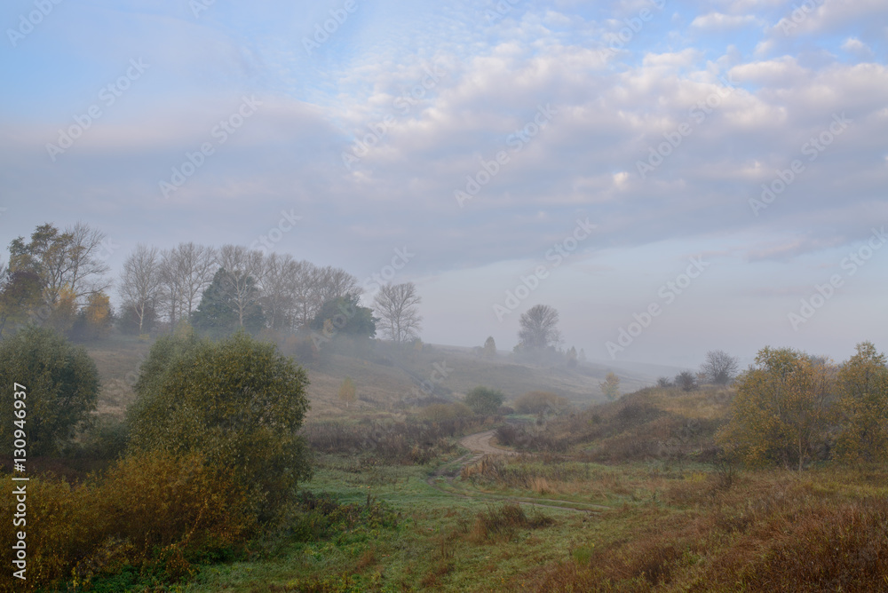 Forest road in the morning mist