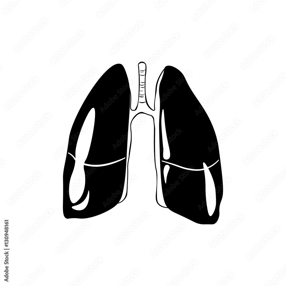 Lungs Human anatomy. hand drawn vector illustartion isolated on a white Lungs Human anatomy. hand drawn vector illustartion isolated on a white