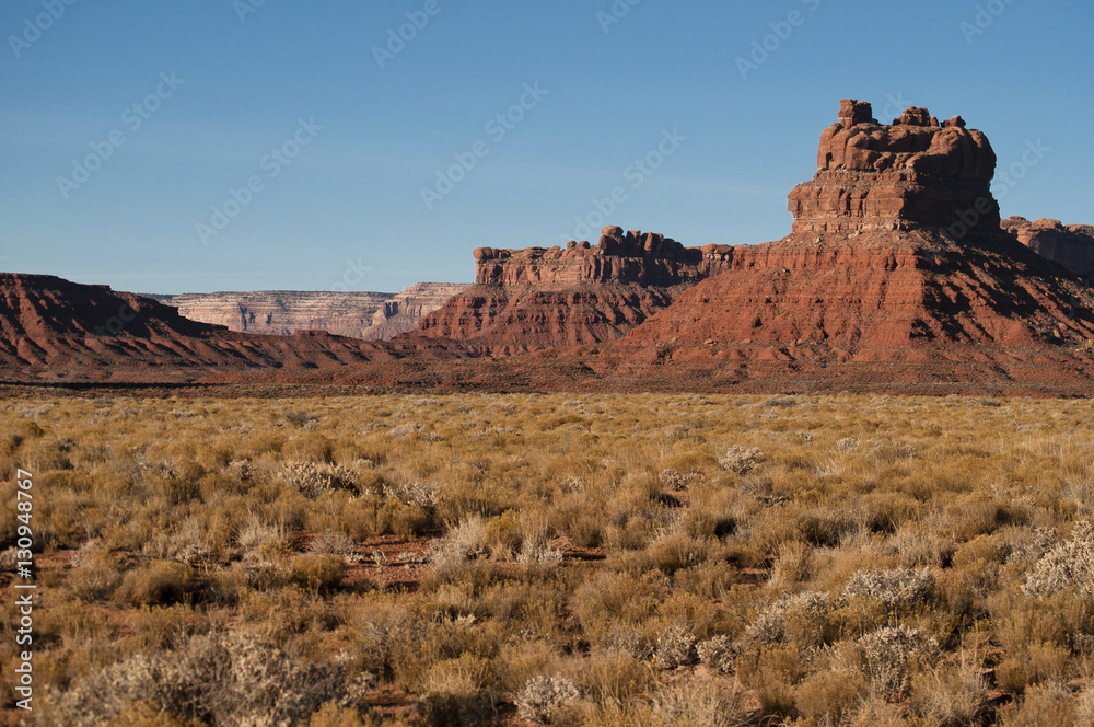 Scenic view of the Valley of God, with sandston mesas formation in the background and desert vegetation in the foreground Scenic view of the Valley of God, with sandston mesas formation in the background and desert vegetation in the foreground