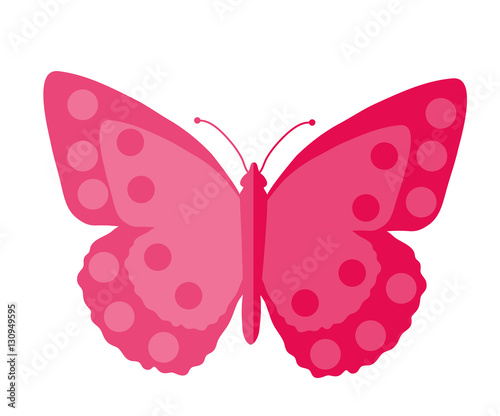 Pink Butterfly, flat design. Isolated on white background. Vector illustration, clip art © Lucia Fox