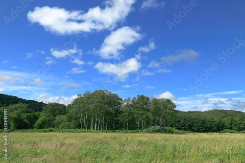 草原の風景 青空と雲