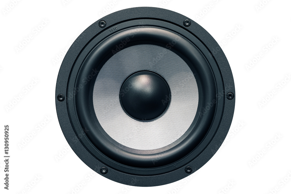 Speaker isolated on white background. Speaker isolated on white background.