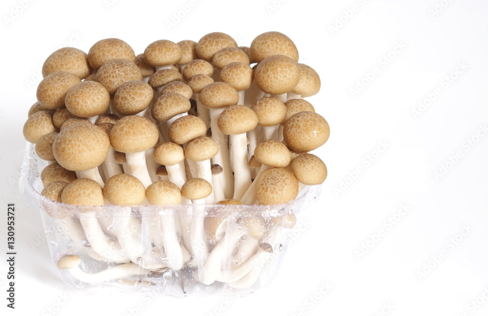 beech mushroom in the package