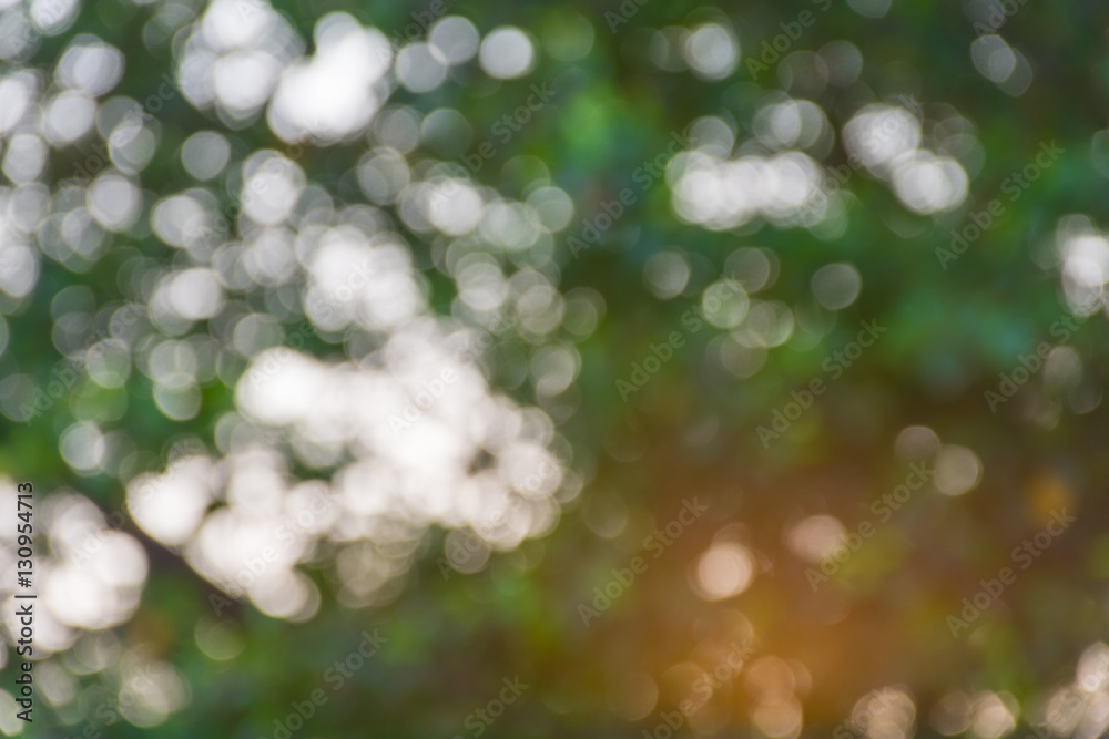 Abstract bokeh of nature Abstract bokeh of nature