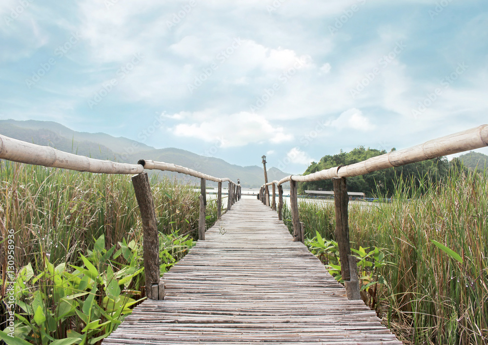 bamboo bridge walkway to lake on green field bamboo bridge walkway to lake on green field