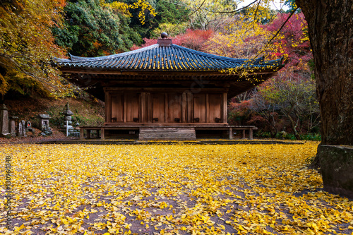 国宝　富貴寺 photo