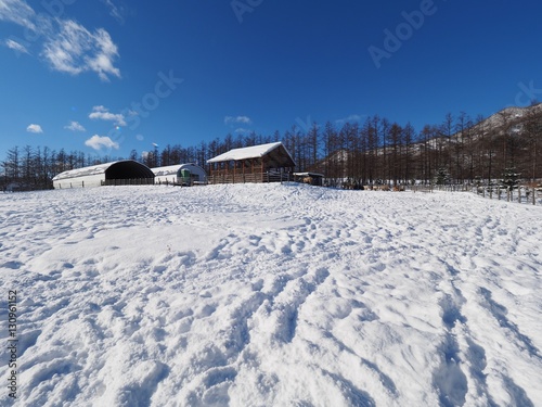 冬の牧場