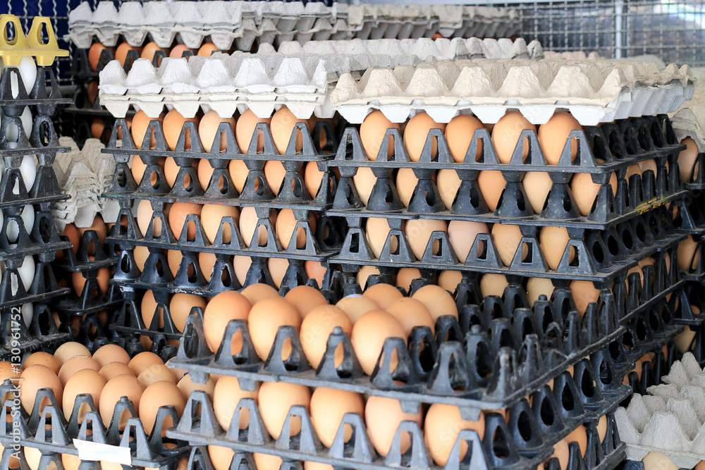 Fototapeta premium Eggs from chicken farm in the package that preserved for sale