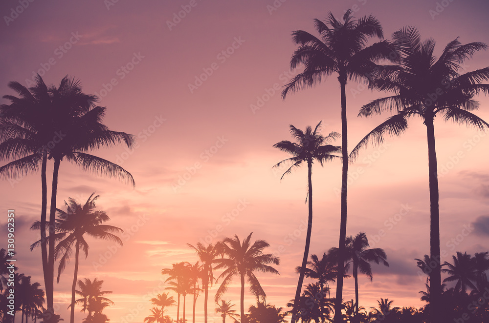 Obraz premium Copy space of tropical palm tree with sun light on sky background.