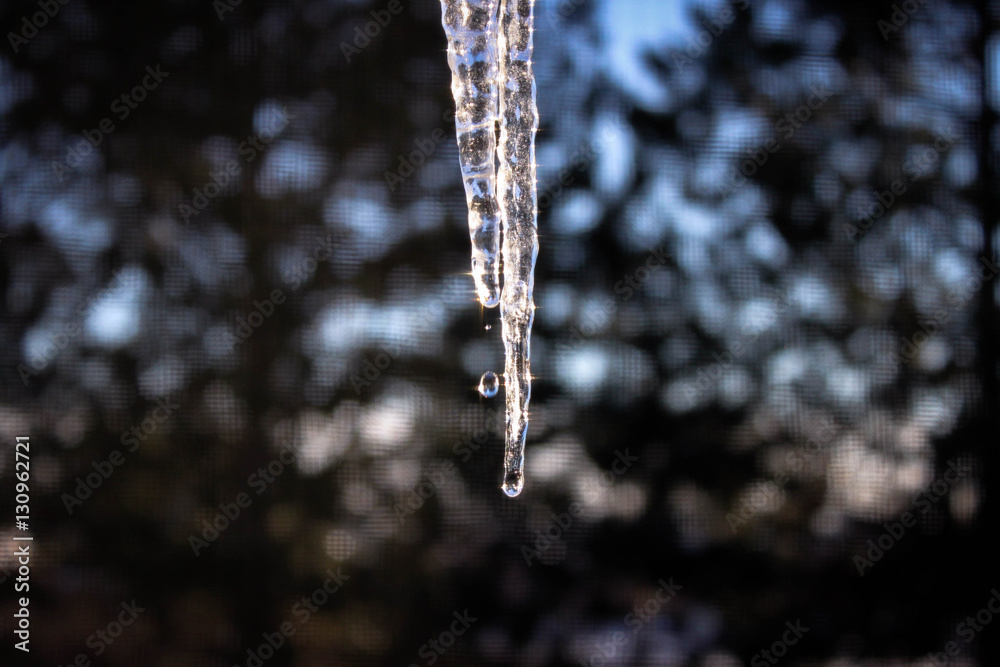 Naklejka premium Icicles 