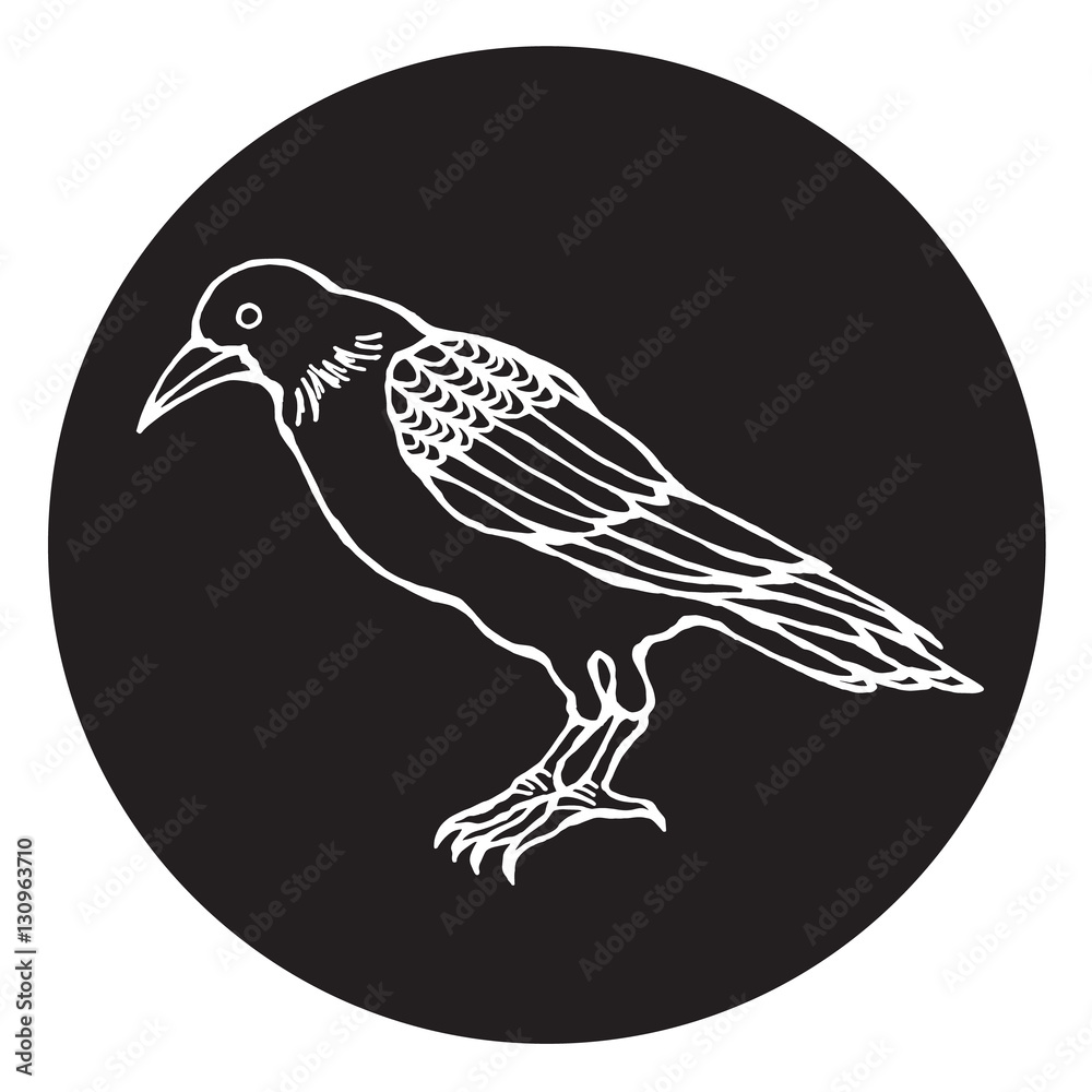 Fototapeta premium crow vector illustration design, hand drawn line, symbol of crow