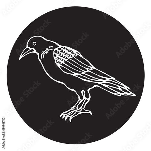 crow vector illustration design, hand drawn line, symbol of crow