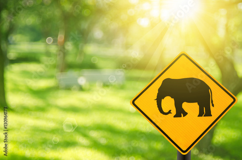 Traffic sign, elephant warning sign on nature green bokeh sun light flare and blur leaf abstract background.