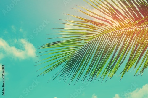 Copy space of tropical palm leaf with sun light on blue sky background. © tonktiti