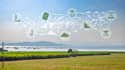 Precision Agriculture and Agritech concept. Precision agriculture network icons on agriculture ranch background.