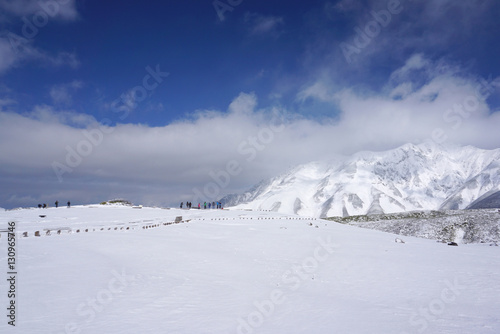 Mudoro field in November with snow mountain background © augustcindy