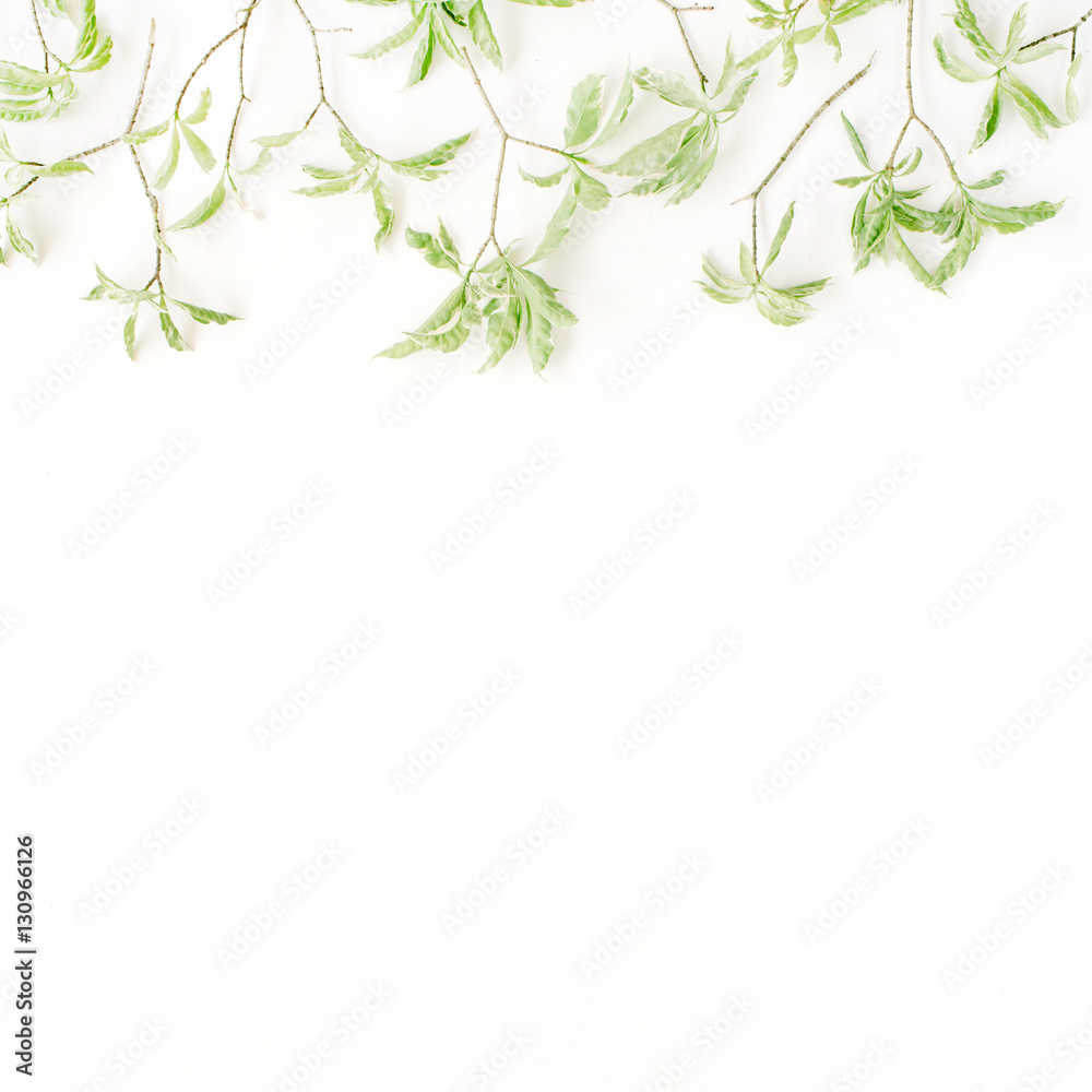 green leaf pattern on white background. flat lay header