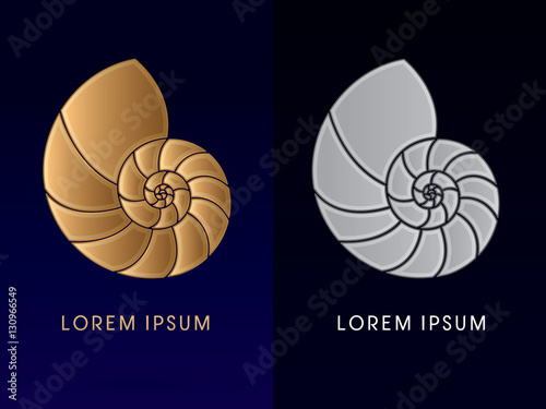Sea shells Conch graphic vector.