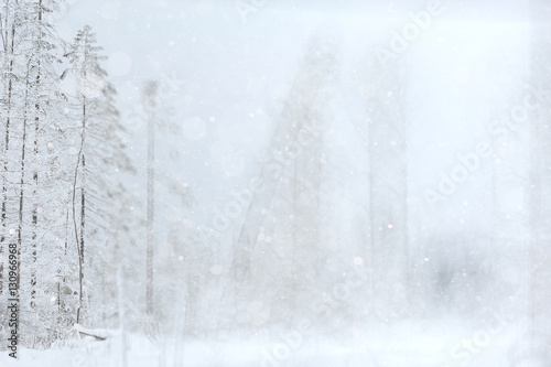 winter background blur forest snowflakes bokeh © kichigin19