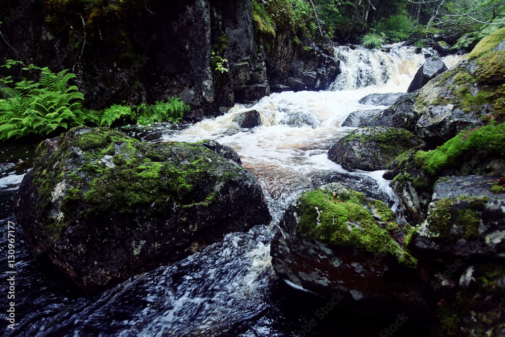 Naklejka premium landscape in the spring forest small waterfall stream