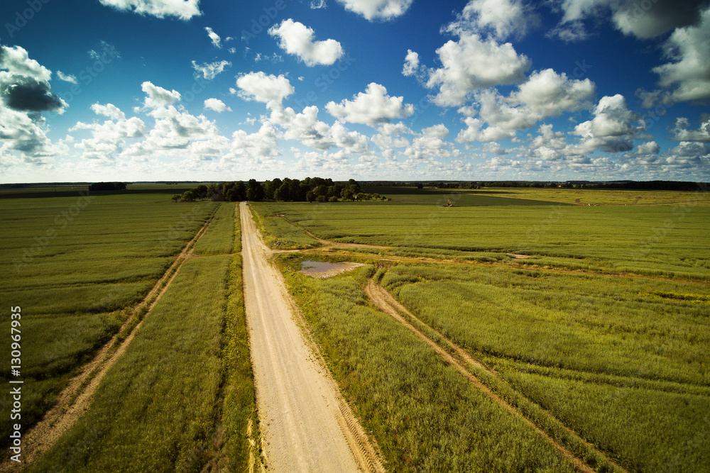 Summer day in latvian coustryside.