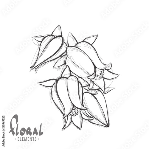 Black and white sketch of a bellflower
