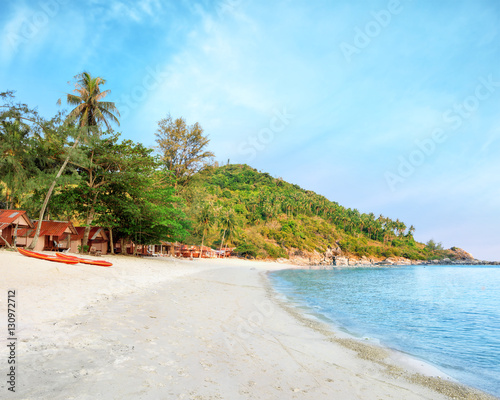 Phangan beach with white sand and tall palms