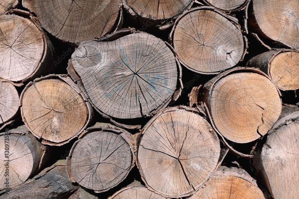 Fototapeta premium pattern of brown wood log background texture