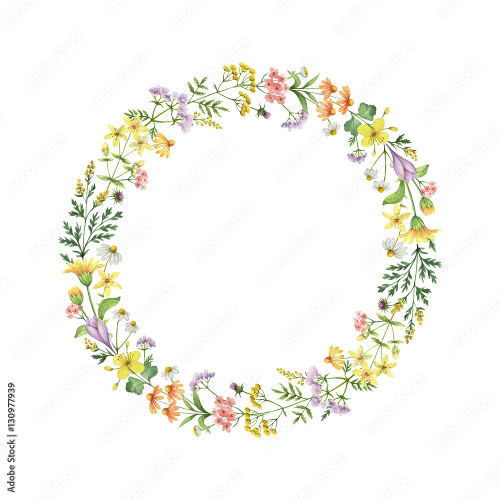 Watercolor round frame with medical plants.