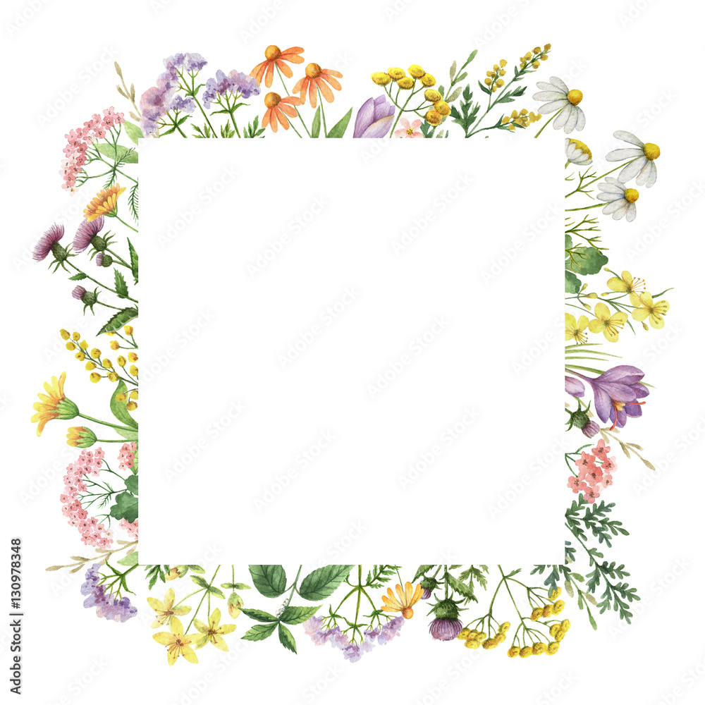 Watercolor square frame with medical plants.