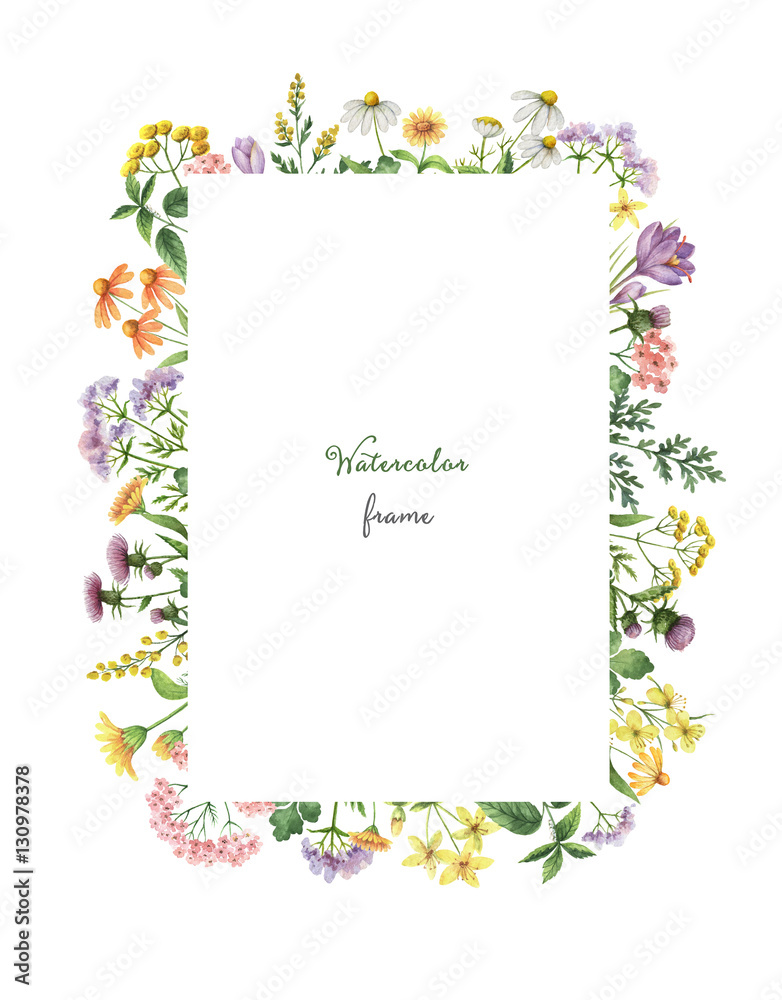 Watercolor rectangular frame with meadow plants. Watercolor rectangular frame with meadow plants.