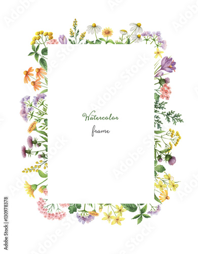 Obraz na płótnie Watercolor rectangular frame with meadow plants.