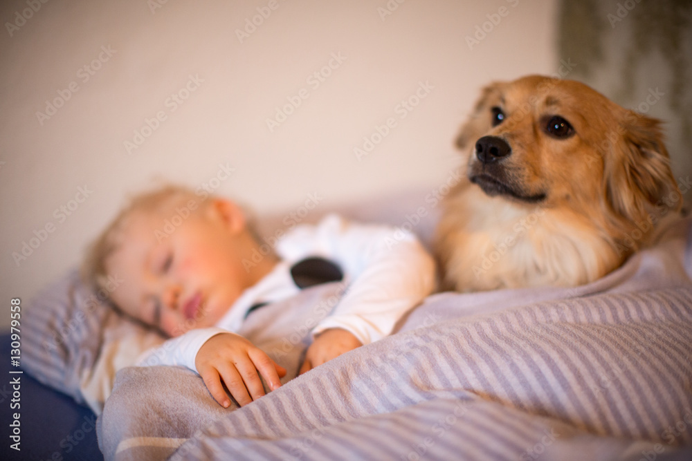 Hund und Kind in einem Bett Hund und Kind in einem Bett